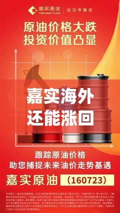 嘉实海外还能涨回来吗(嘉实基金个人账户查询) 嘉实海外还能涨回来吗(嘉实基金个人账户查询)