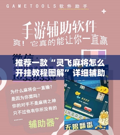 推荐一款“灵飞麻将怎么开挂教程图解	”详细辅助教程分享