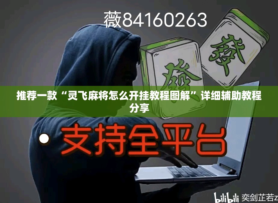 推荐一款“灵飞麻将怎么开挂教程图解”详细辅助教程分享