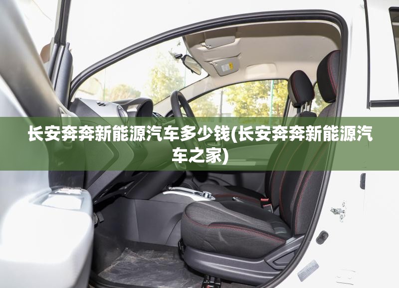 长安奔奔新能源汽车多少钱(长安奔奔新能源汽车之家) 长安奔奔新能源汽车多少钱(长安奔奔新能源汽车之家)