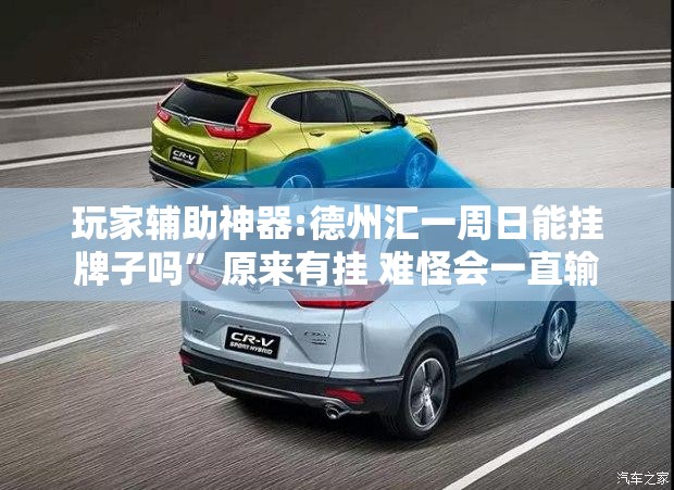 玩家辅助神器:德州汇一周日能挂牌子吗	”原来有挂 难怪会一直输