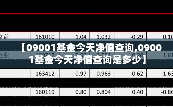 【09001基金今天净值查询,09001基金今天净值查询是多少】 【09001基金今天净值查询,09001基金今天净值查询是多少】