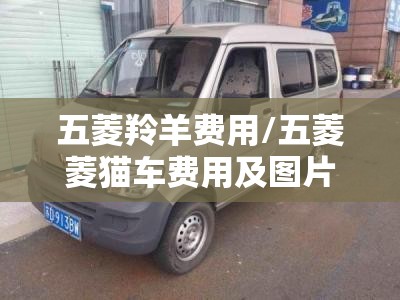 五菱羚羊费用/五菱菱猫车费用及图片
