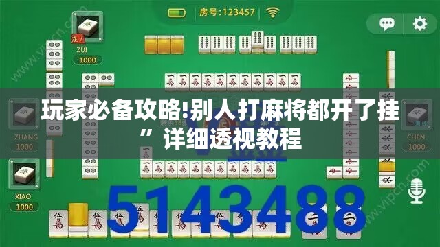 玩家必备攻略!别人打麻将都开了挂”详细透视教程