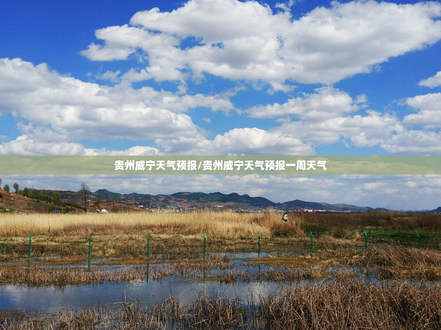 贵州威宁天气预报/贵州威宁天气预报一周天气 贵州威宁天气预报/贵州威宁天气预报一周天气