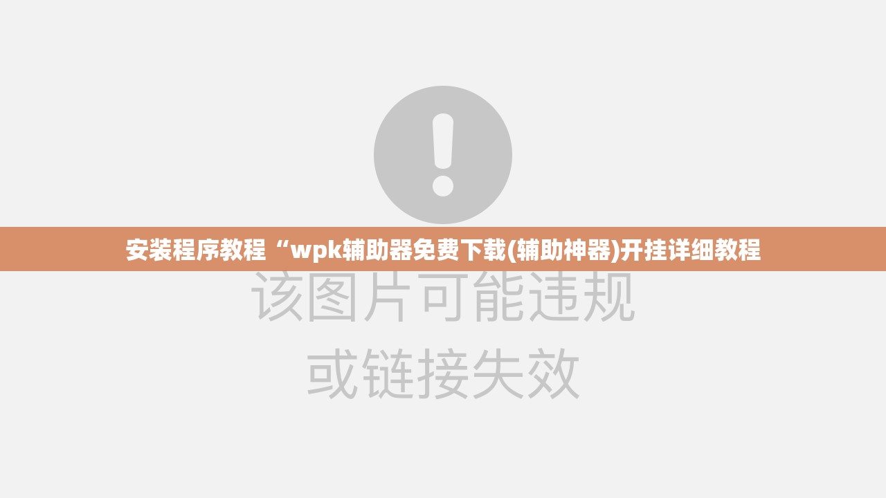安装程序教程“wpk辅助器免费下载(辅助神器)开挂详细教程