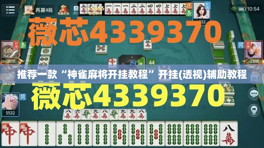 推荐一款“神雀麻将开挂教程”开挂(透视)辅助教程