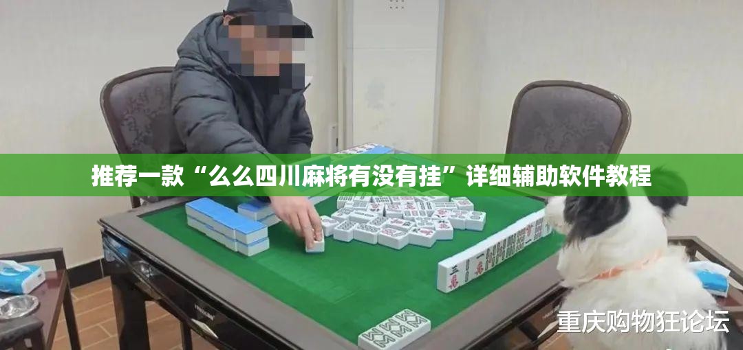 推荐一款“么么四川麻将有没有挂	”详细辅助软件教程