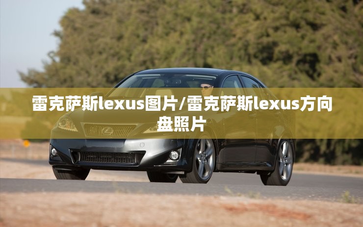 雷克萨斯lexus图片/雷克萨斯lexus方向盘照片 雷克萨斯lexus图片/雷克萨斯lexus方向盘照片