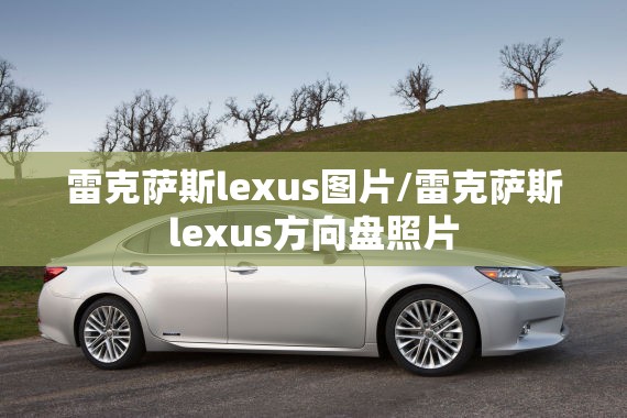 雷克萨斯lexus图片/雷克萨斯lexus方向盘照片 雷克萨斯lexus图片/雷克萨斯lexus方向盘照片