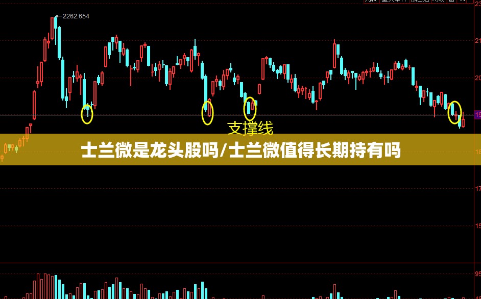 士兰微是龙头股吗/士兰微值得长期持有吗 士兰微是龙头股吗/士兰微值得长期持有吗