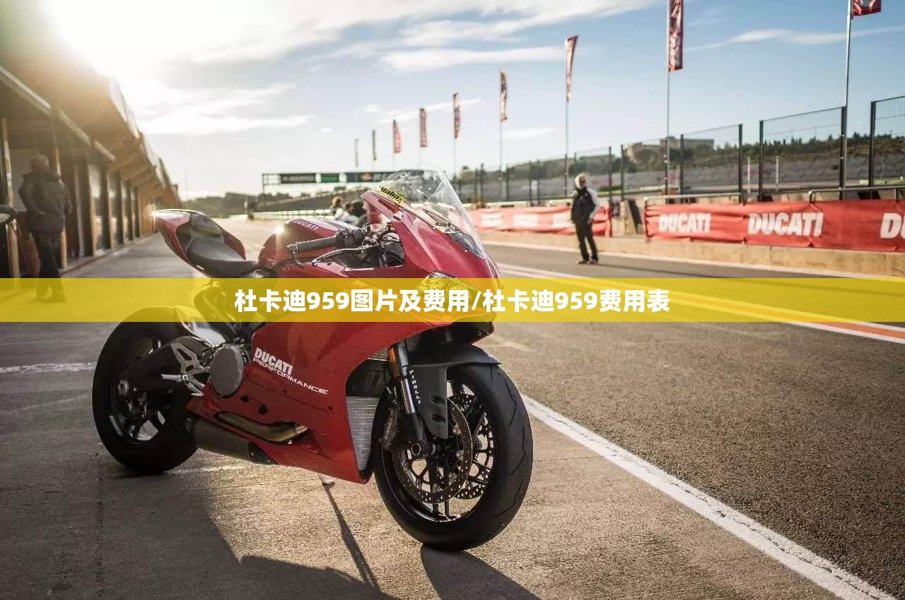 杜卡迪959图片及费用/杜卡迪959费用表