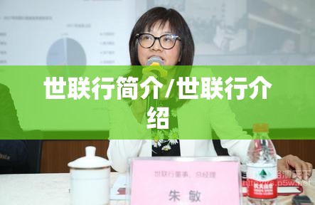 世联行简介/世联行介绍 世联行简介/世联行介绍