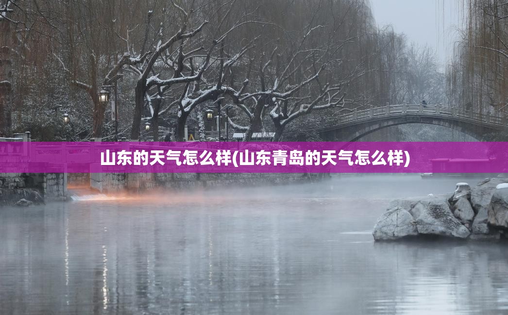 山东的天气怎么样(山东青岛的天气怎么样) 山东的天气怎么样(山东青岛的天气怎么样)