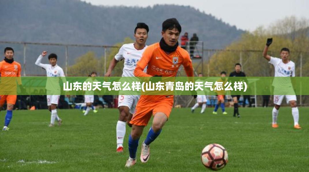 山东的天气怎么样(山东青岛的天气怎么样) 山东的天气怎么样(山东青岛的天气怎么样)