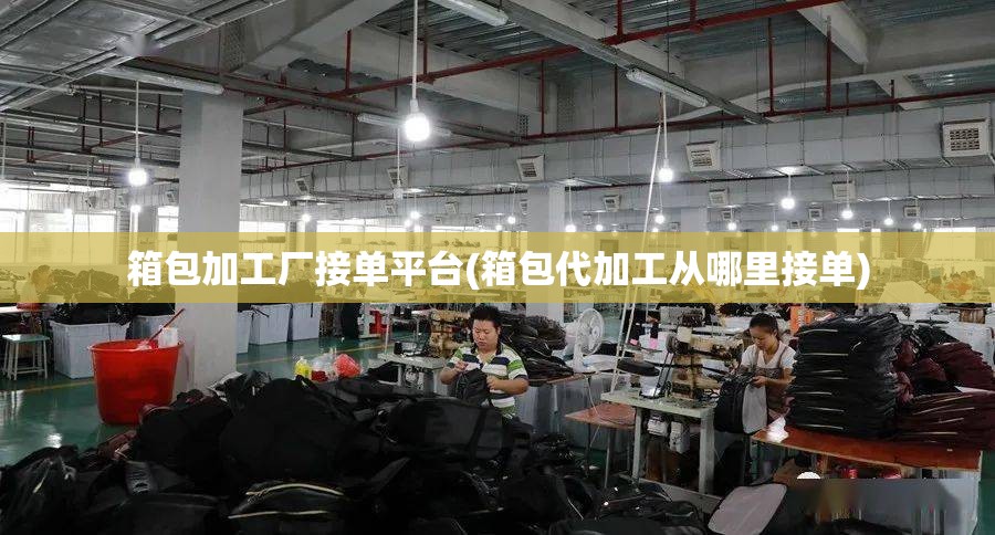 箱包加工厂接单平台(箱包代加工从哪里接单)