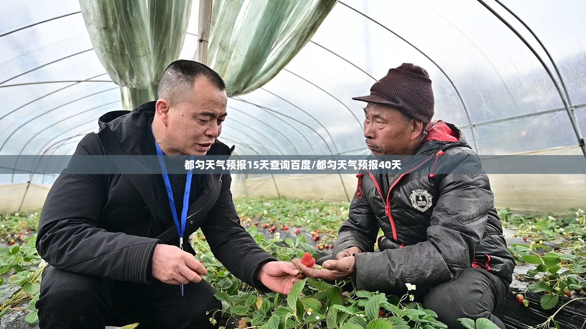 豪华车为什么都是轿车/豪华车为什么降价那么多 豪华车为什么都是轿车/豪华车为什么降价那么多