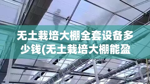 无土栽培大棚全套设备多少钱(无土栽培大棚能盈利吗)