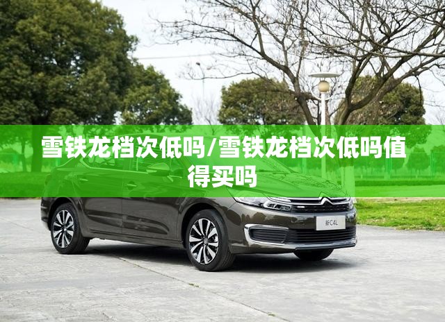 雪铁龙档次低吗/雪铁龙档次低吗值得买吗
