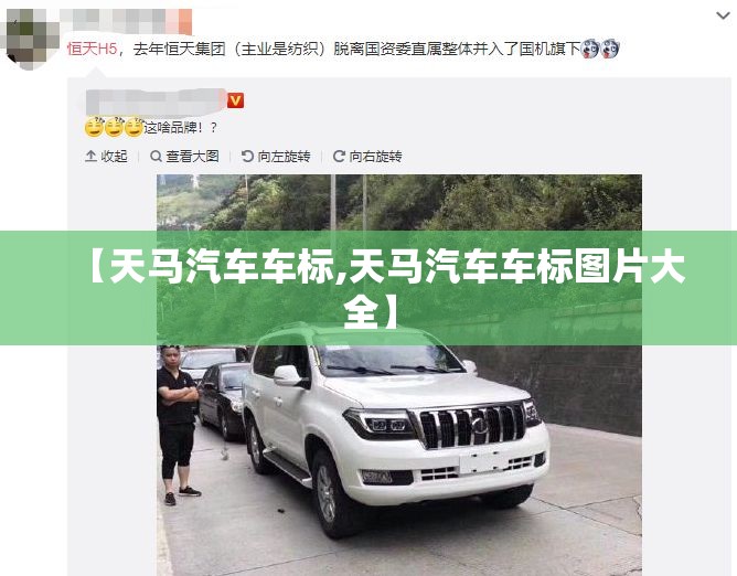 【天马汽车车标,天马汽车车标图片大全】 【天马汽车车标,天马汽车车标图片大全】