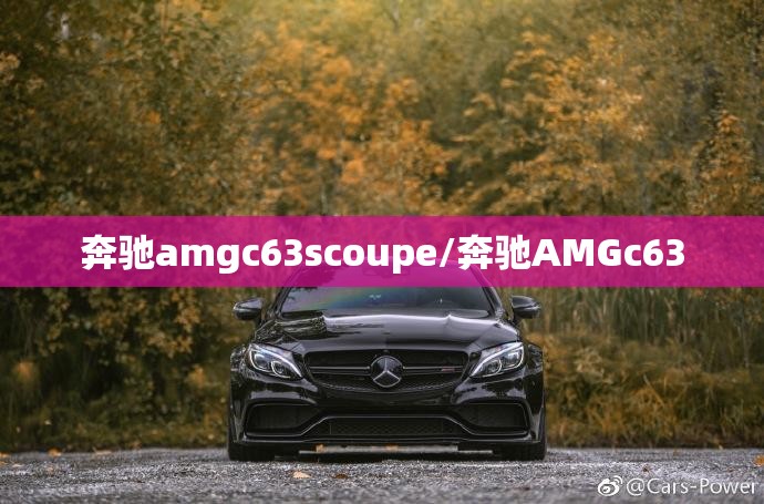 奔驰amgc63scoupe/奔驰AMGc63