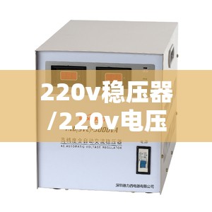 220v稳压器/220v电压增压器 220v稳压器/220v电压增压器