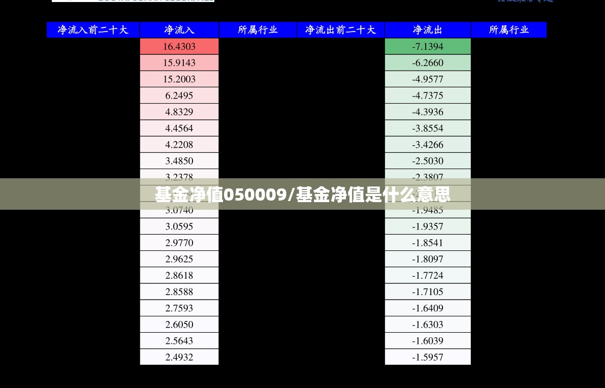 基金净值050009/基金净值是什么意思 基金净值050009/基金净值是什么意思