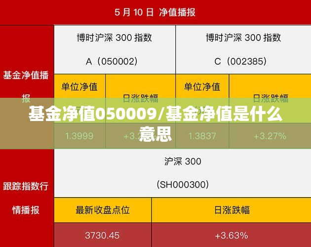 基金净值050009/基金净值是什么意思 基金净值050009/基金净值是什么意思