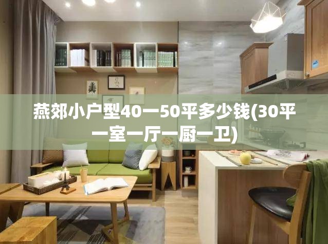 燕郊小户型40一50平多少钱(30平一室一厅一厨一卫)