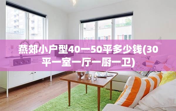 燕郊小户型40一50平多少钱(30平一室一厅一厨一卫)