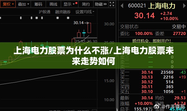 上海电力股票为什么不涨/上海电力股票未来走势如何 上海电力股票为什么不涨/上海电力股票未来走势如何
