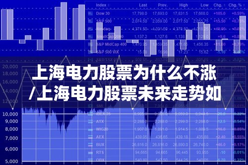 上海电力股票为什么不涨/上海电力股票未来走势如何 上海电力股票为什么不涨/上海电力股票未来走势如何
