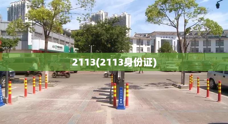 2113(2113身份证)