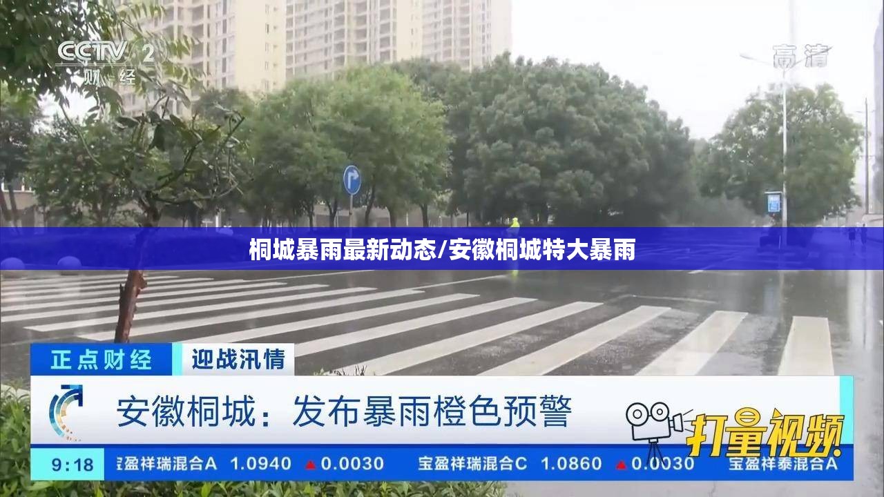 桐城暴雨最新动态/安徽桐城特大暴雨 桐城暴雨最新动态/安徽桐城特大暴雨