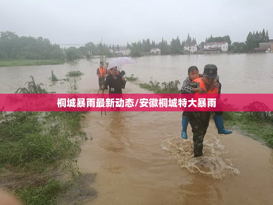 桐城暴雨最新动态/安徽桐城特大暴雨 桐城暴雨最新动态/安徽桐城特大暴雨
