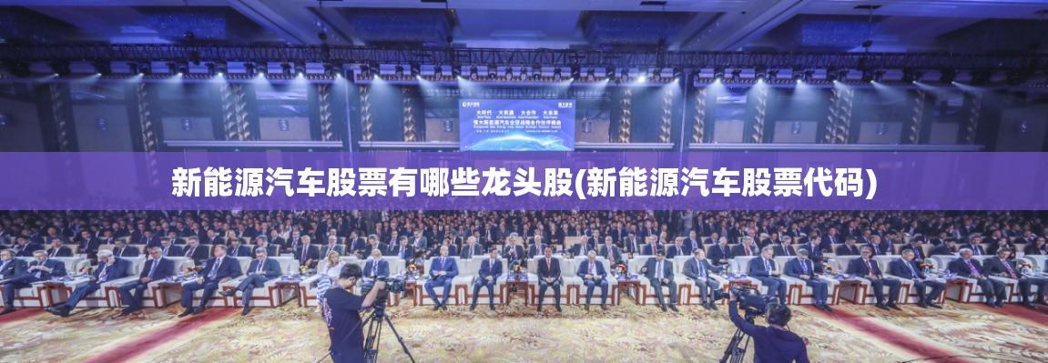 新能源汽车股票有哪些龙头股(新能源汽车股票代码) 新能源汽车股票有哪些龙头股(新能源汽车股票代码)