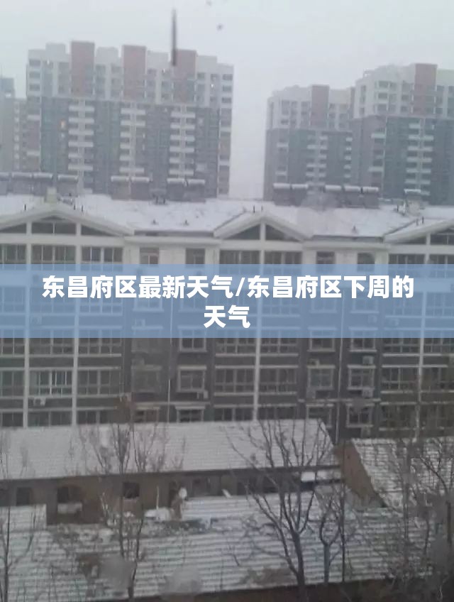 东昌府区最新天气/东昌府区下周的天气