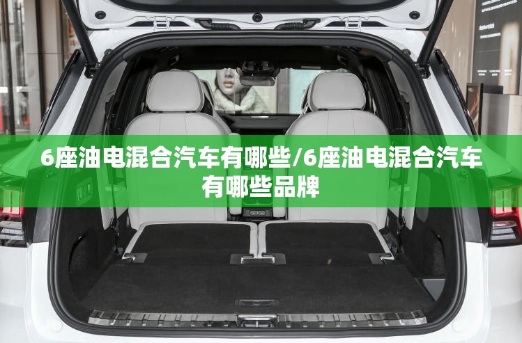 6座油电混合汽车有哪些/6座油电混合汽车有哪些品牌 6座油电混合汽车有哪些/6座油电混合汽车有哪些品牌