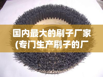 国内最大的刷子厂家(专门生产刷子的厂家) 国内最大的刷子厂家(专门生产刷子的厂家)
