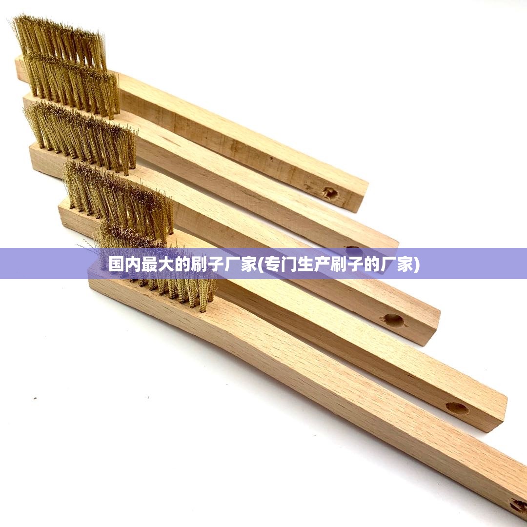国内最大的刷子厂家(专门生产刷子的厂家) 国内最大的刷子厂家(专门生产刷子的厂家)