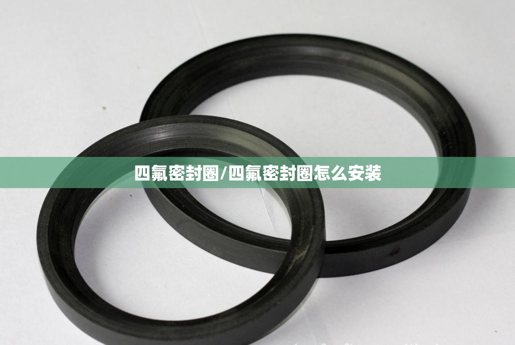四氟密封圈/四氟密封圈怎么安装 四氟密封圈/四氟密封圈怎么安装