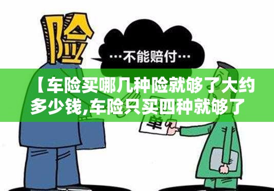 【车险买哪几种险就够了大约多少钱,车险只买四种就够了】