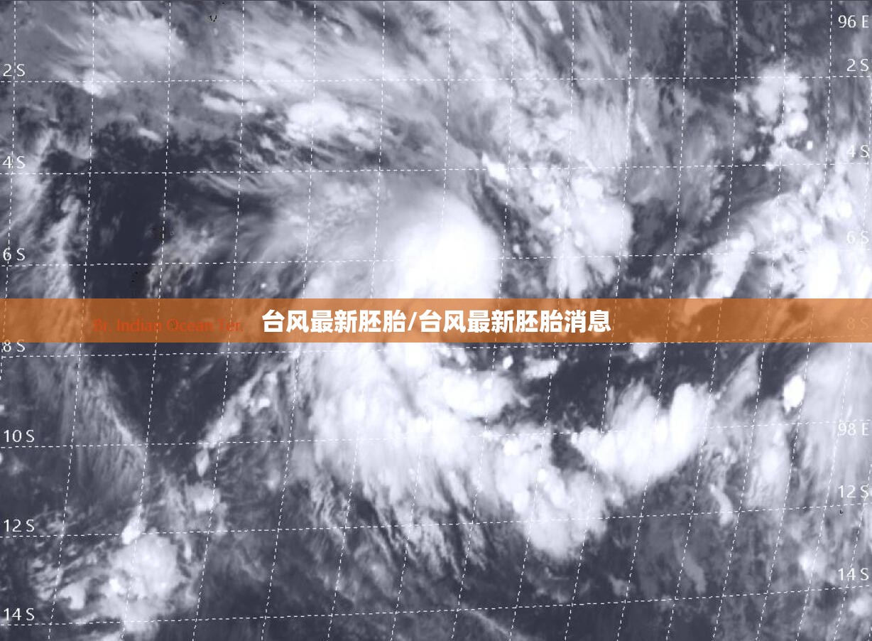 台风最新胚胎/台风最新胚胎消息 台风最新胚胎/台风最新胚胎消息