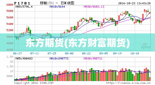 东方期货(东方财富期货) 东方期货(东方财富期货)