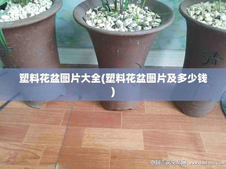 塑料花盆图片大全(塑料花盆图片及多少钱) 塑料花盆图片大全(塑料花盆图片及多少钱)