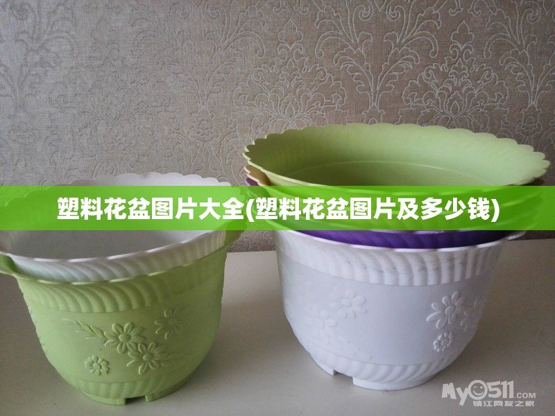 塑料花盆图片大全(塑料花盆图片及多少钱) 塑料花盆图片大全(塑料花盆图片及多少钱)