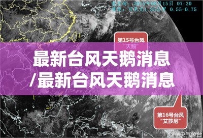 最新台风天鹅消息/最新台风天鹅消息新闻 最新台风天鹅消息/最新台风天鹅消息新闻