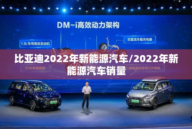 比亚迪2022年新能源汽车/2022年新能源汽车销量 比亚迪2022年新能源汽车/2022年新能源汽车销量