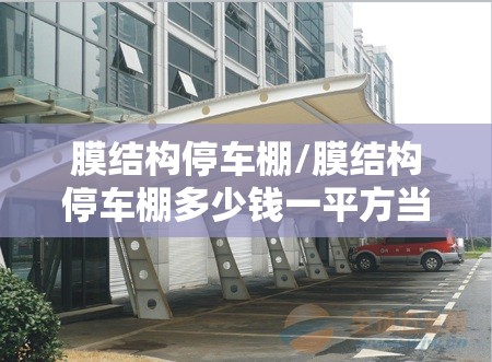 膜结构停车棚/膜结构停车棚多少钱一平方当兵的人 膜结构停车棚/膜结构停车棚多少钱一平方当兵的人