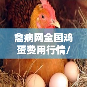 禽病网全国鸡蛋费用行情/禽病网最新鸡蛋费用行情